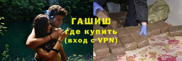 прущие грибы Алзамай