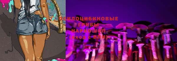 прущие грибы Алзамай