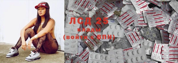 прущие грибы Алзамай