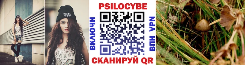 Псилоцибиновые грибы Psilocybe  сколько стоит  Комсомольск 